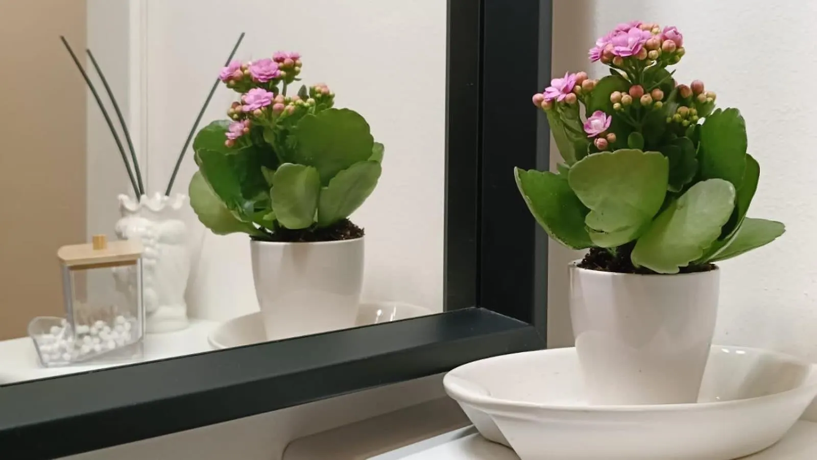 Appartamento Palermo eleganza in centro città